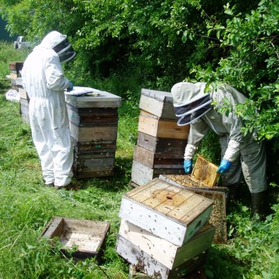 Honey Farm celebrates sweet success to pick up top regional accolade in the Great Taste Awards.