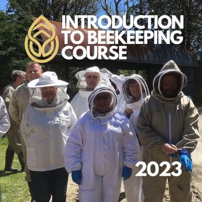 Introduction into Beekeeping Course