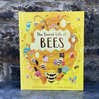 The Secret Life Of Bees Book